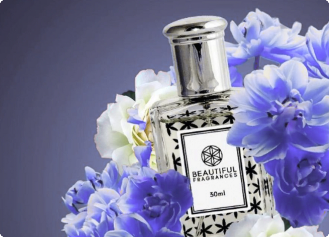 What Are Fragrance Notes? Understanding Top, Heart, and Base Notes